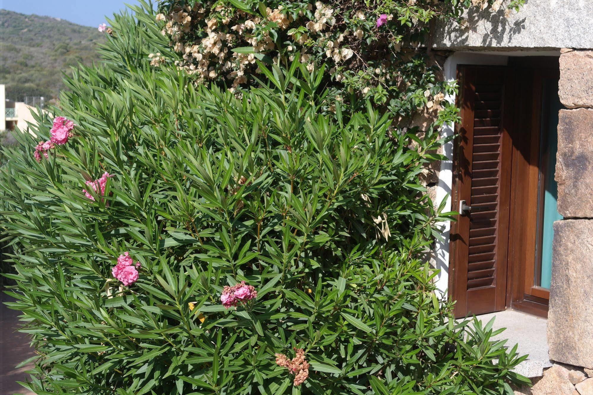 Sardinia Blu Residence กอลโฟอารันชี ภายนอก รูปภาพ
